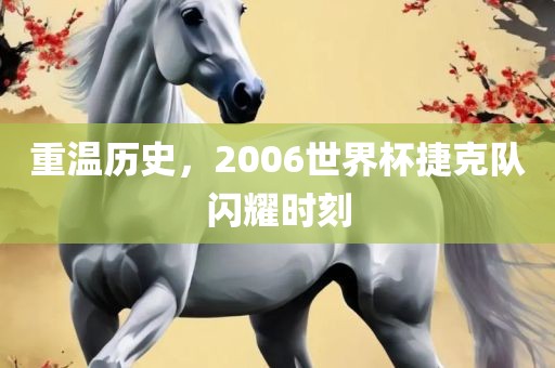 重温历史，2006世界杯捷克队闪耀时刻