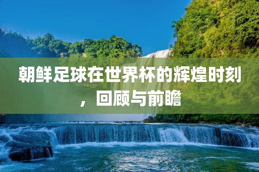 朝鲜足球在世界杯的辉煌时刻,回顾与前瞻