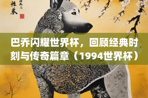 巴乔闪耀世界杯,回顾经典时刻与传奇篇章(1994世界杯)
