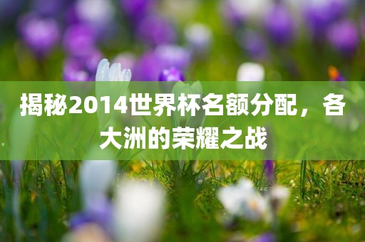 揭秘2014世界杯名额分配，各大洲的荣耀之战