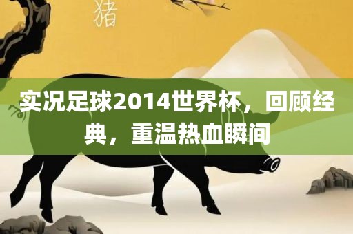 实况足球2014世界杯,回顾经典,重温热血瞬间