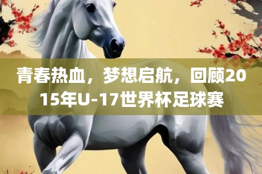 青春热血,梦想启航,回顾2015年U-17世界杯足球赛