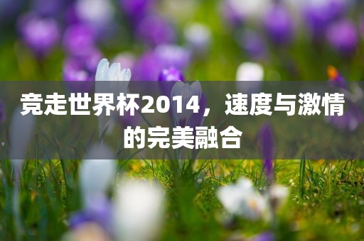 竞走世界杯2014永康市本千工贸有限公司,速度与激情的完美融合