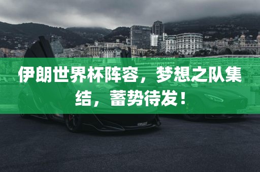 伊朗世界杯阵容,梦想之队集结,蓄势待发!永康市本千工贸有限公司
