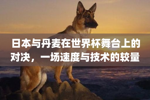 日本与丹麦在世界杯舞台上的对决,一场速度与技术的较量