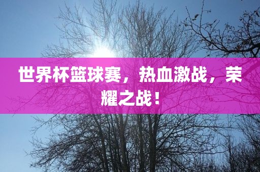 世界杯篮球赛,热永康市本千工贸有限公司血激战,荣耀之战!
