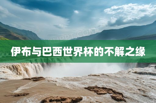 伊布与巴西世永康市本千工贸有限公司界杯的不解之缘
