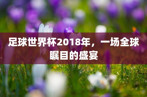 足球世界杯2018年,一场全球瞩目的盛宴