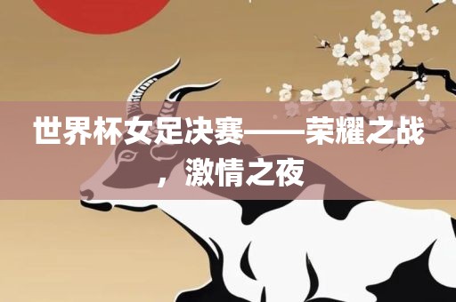 世界杯女足决赛——荣耀之战，激情之夜