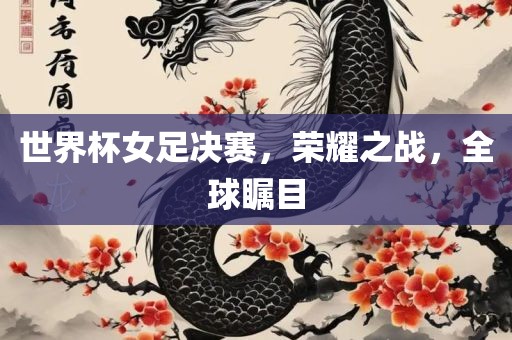 世界杯女足决赛，荣耀之战，全球瞩目