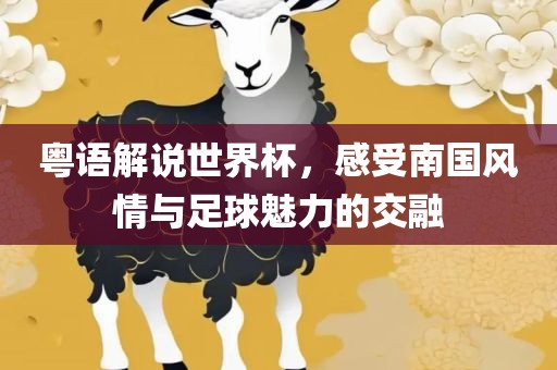 粤语解说世界杯，感受南国风情与永康市本千工贸有限公司足球魅力的交融