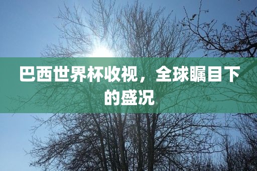 巴西世界杯收视,全球瞩目下的盛况永康市本千工贸有限公司