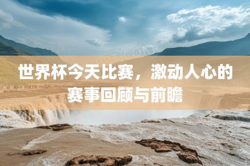 世界杯今天比赛,激动人心的赛事回顾与前瞻