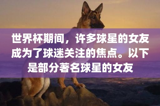 世界杯期间,许多球星的女友成为了球迷关注的焦点。以下是部分著名球星的女友永康市本千工贸有限公司