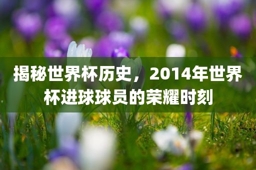 揭秘世界杯历史，2014年世界杯进球球员的荣耀时刻