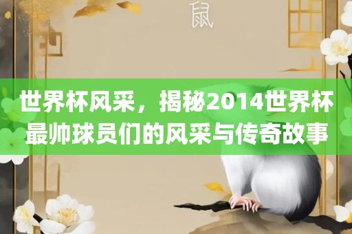 世界杯风采，揭秘2014世界杯最帅球员们的风采与传奇故事永康市本千工贸有限公司