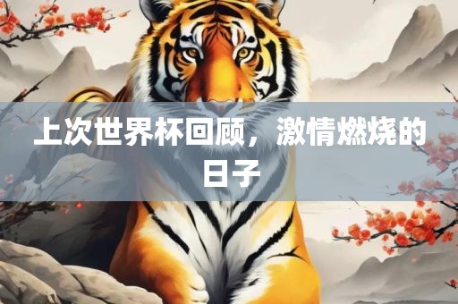 上次世界杯回顾，激情燃烧的日子