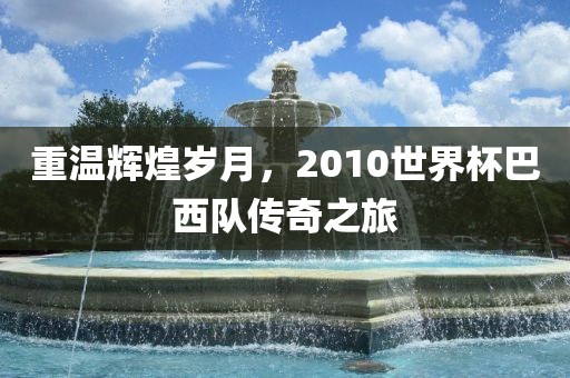 重温辉煌岁月,2010世界杯巴西队传奇之旅永康市本千工贸有限公司