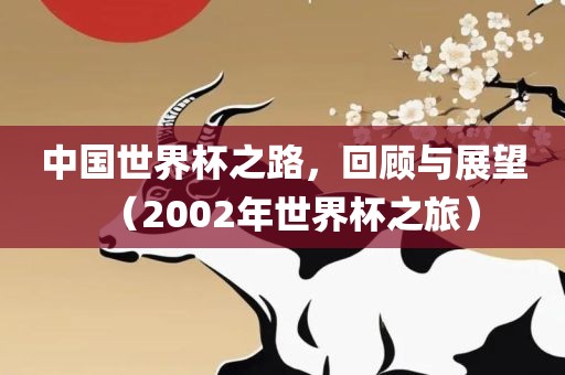中国世界杯之路，回顾与展望（2002年世界杯之旅）