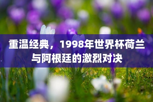 重温经典,1998年世界杯荷兰与阿根廷的激烈对决