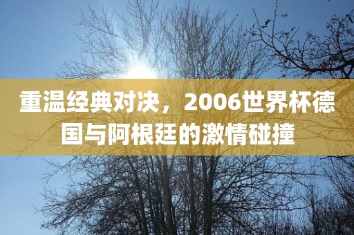 重温经典对决,2006世界杯德国与阿根廷的激情碰撞