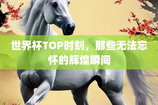 世界杯TOP时刻,那些无法忘怀的辉煌瞬间