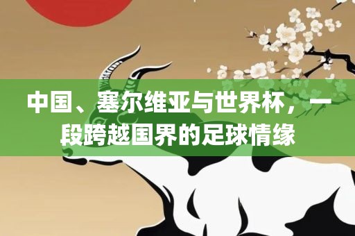 中国、塞尔维亚与世界杯,一段跨越国界的足球情缘永康市本千工贸有限公司