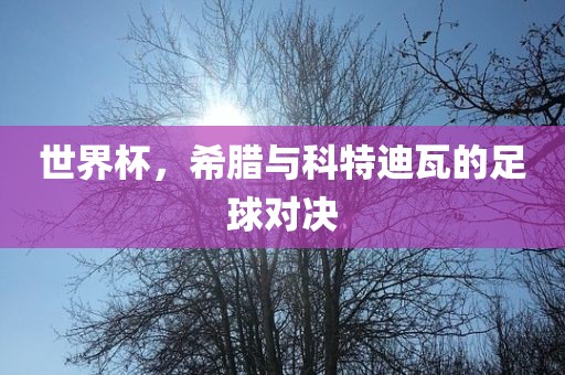 世界杯,希腊与科特迪瓦的足球对决