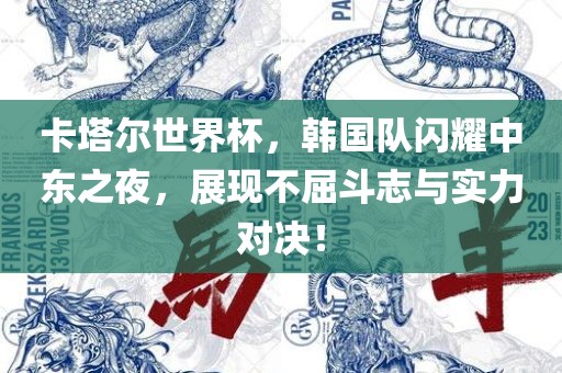 卡塔尔世界杯，韩国队闪耀中东之夜，展现不屈斗志与实力对决！