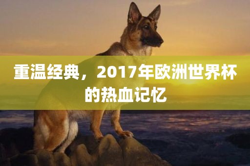 重温经典,2017年欧洲世界杯的热血记忆