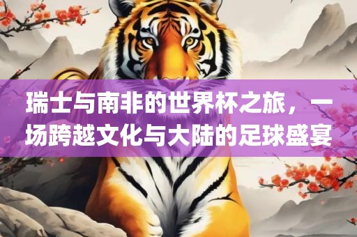 瑞士与南非的世界杯之旅,一场跨越文化与大陆的足球盛宴