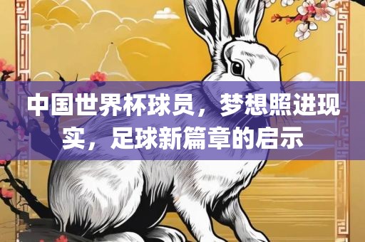 中国世界杯球员，梦想照进现实，足球新篇章的启示