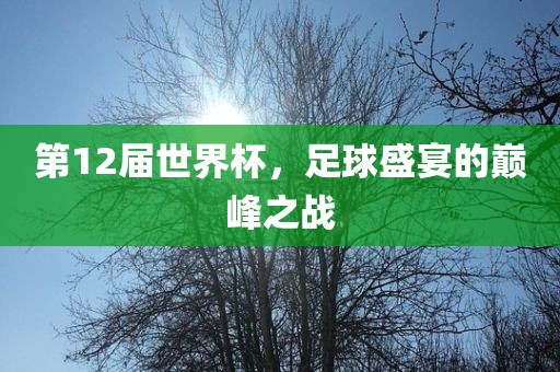 第12届世界杯,足球盛宴的巅峰之战