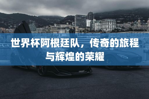 世界杯阿根廷队，传奇的旅程与辉煌的荣耀