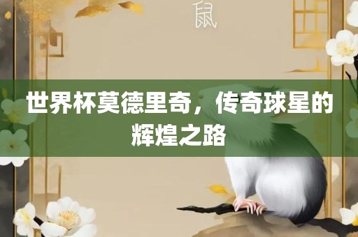 世界杯莫德里奇,传奇球星的辉煌之路