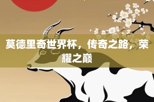 莫德里奇世界杯,传奇之路,荣耀之巅