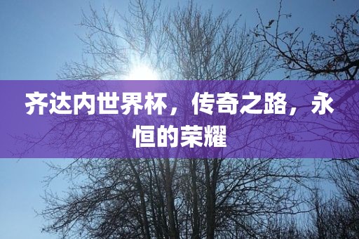 齐达内世界杯，传奇之路，永恒的荣耀