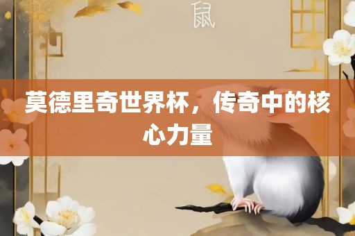 莫德里永康市本千工贸有限公司奇世界杯,传奇中的核心力量