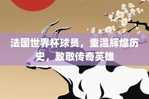 法国世界杯球员,重温辉煌历史,致敬传奇英雄