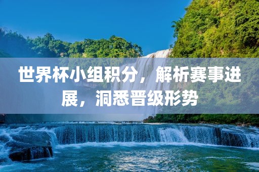 世界杯小组积分，解析赛事进展，洞悉晋级形势