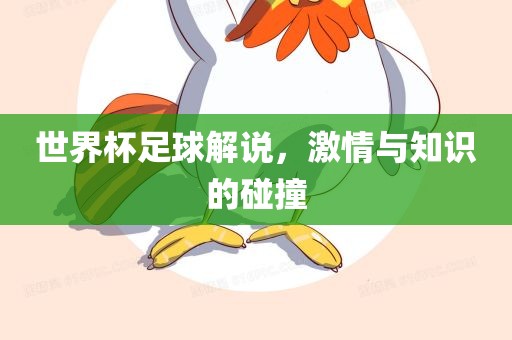 世界杯足球解说,激情与知识的碰撞