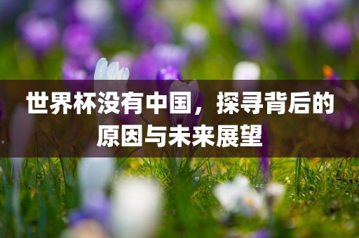 世界杯没有中国，探寻背后的原因与未来展望