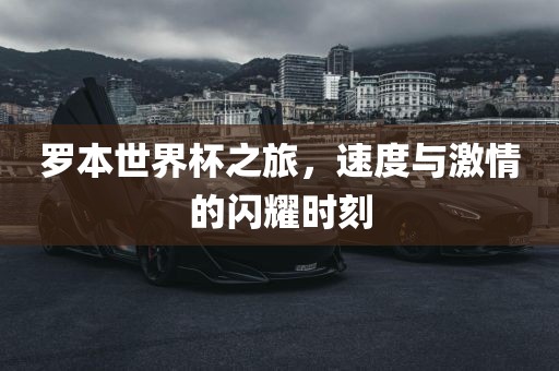 罗本世界杯之旅,速度与激情的闪耀时刻