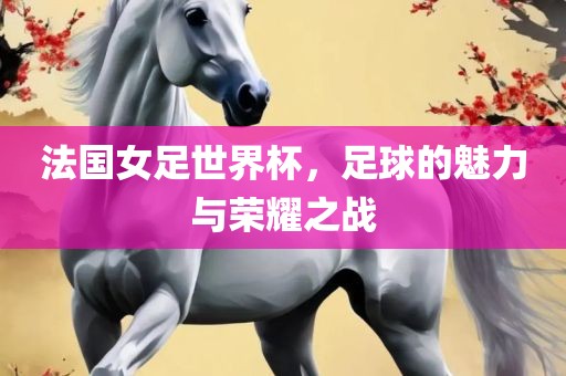 法国女足世界杯,足球的魅力与荣永康市本千工贸有限公司耀之战