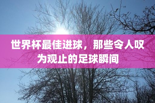 世界杯最佳进球，那些令人叹为观止的足球瞬间