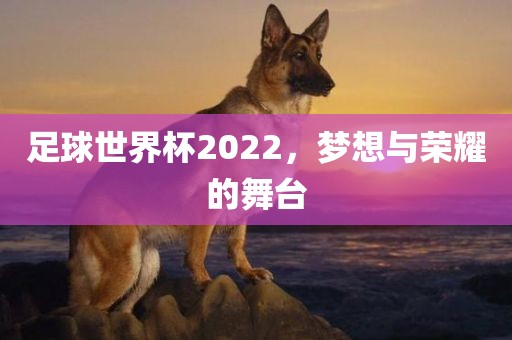 足球世界杯2022,梦永康市本千工贸有限公司想与荣耀的舞台