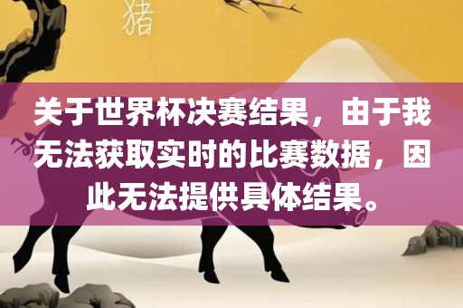 关于世界杯决赛结果，由于我无法获取实时的比赛数据，因此无法提供具体结果。