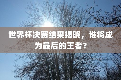 最后的王者 第2页