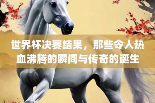 世界杯决赛结果，那些令人热血沸腾的瞬间与传奇的诞生