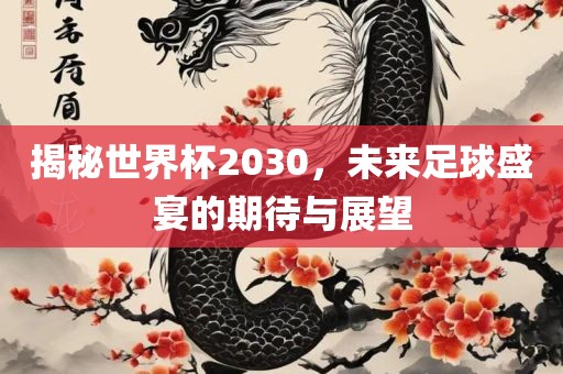 揭秘世界杯2030,未来足球盛宴的期待与展望